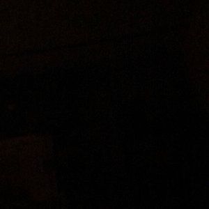 Meet your Posher, Hayden